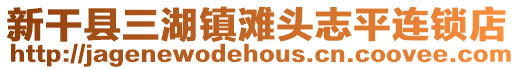 新干縣三湖鎮(zhèn)灘頭志平連鎖店