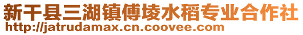 新干縣三湖鎮(zhèn)傅堎水稻專業(yè)合作社