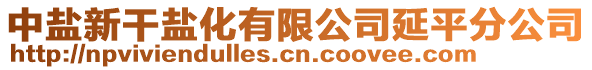 中鹽新干鹽化有限公司延平分公司