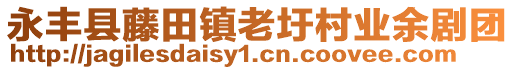 永豐縣藤田鎮(zhèn)老圩村業(yè)余劇團(tuán)