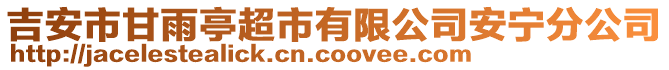 吉安市甘雨亭超市有限公司安寧分公司