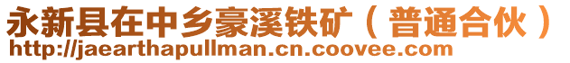 永新縣在中鄉(xiāng)豪溪鐵礦（普通合伙）