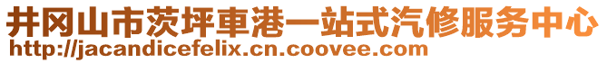 井冈山市茨坪車港一站式汽修服务中心