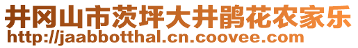 井岡山市茨坪大井鵑花農(nóng)家樂