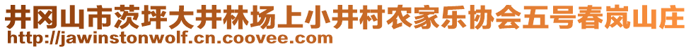 井岡山市茨坪大井林場(chǎng)上小井村農(nóng)家樂(lè)協(xié)會(huì)五號(hào)春嵐山莊