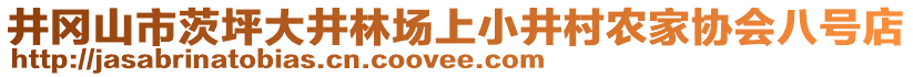 井岡山市茨坪大井林場上小井村農(nóng)家協(xié)會八號店