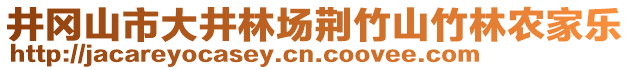 井岡山市大井林場(chǎng)荊竹山竹林農(nóng)家樂(lè)