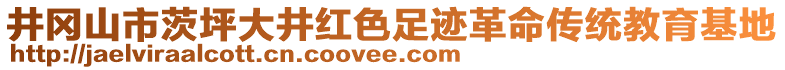 井岡山市茨坪大井紅色足跡革命傳統教育基地
