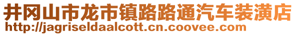 井岡山市龍市鎮(zhèn)路路通汽車裝潢店