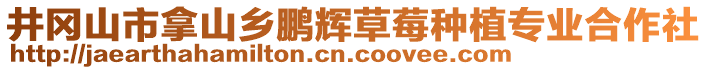 井冈山市拿山乡鹏辉草莓种植专业合作社