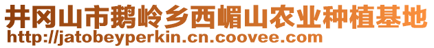 井岡山市鵝嶺鄉(xiāng)西嵋山農(nóng)業(yè)種植基地