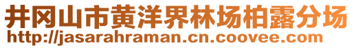 井岡山市黃洋界林場柏露分場