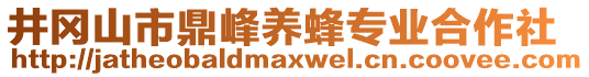 井岡山市鼎峰養(yǎng)蜂專(zhuān)業(yè)合作社