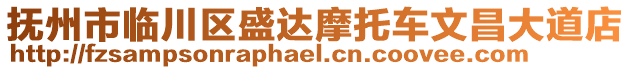 抚州市临川区盛达摩托车文昌大道店