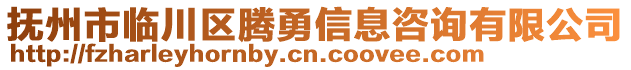 撫州市臨川區(qū)騰勇信息咨詢有限公司