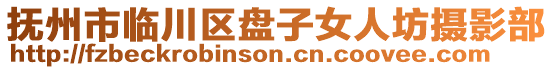 撫州市臨川區(qū)盤子女人坊攝影部