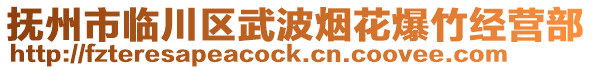 撫州市臨川區(qū)武波煙花爆竹經(jīng)營部