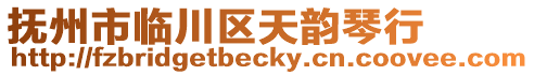 撫州市臨川區(qū)天韻琴行