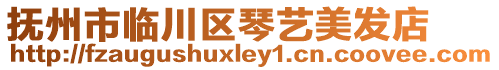 撫州市臨川區(qū)琴藝美發(fā)店