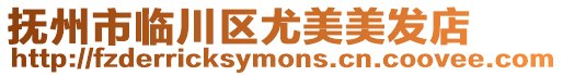 撫州市臨川區(qū)尤美美發(fā)店