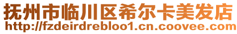 撫州市臨川區希爾卡美發店