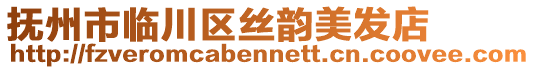 撫州市臨川區(qū)絲韻美發(fā)店