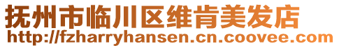撫州市臨川區(qū)維肯美發(fā)店