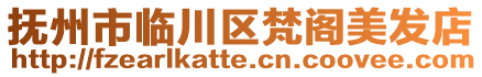 撫州市臨川區(qū)梵閣美發(fā)店