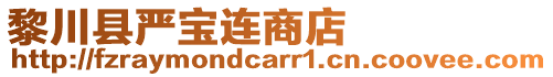 黎川縣嚴寶連商店