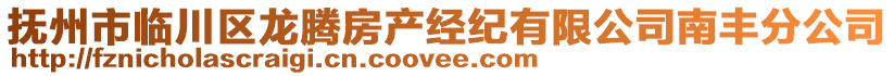 抚州市临川区龙腾房产经纪有限公司南丰分公司