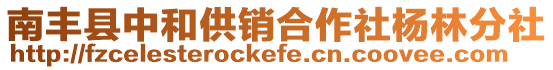 南豐縣中和供銷合作社楊林分社