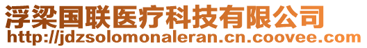 浮梁国联医疗科技有限公司