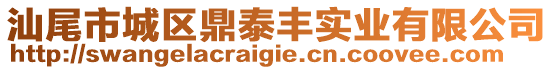 汕尾市城區(qū)鼎泰豐實(shí)業(yè)有限公司