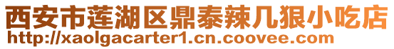 西安市莲湖区鼎泰辣几狠小吃店