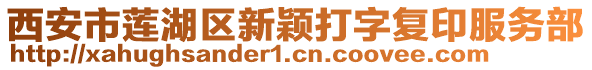 西安市蓮湖區(qū)新穎打字復(fù)印服務(wù)部