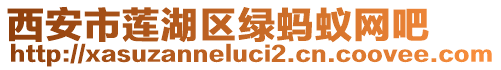 西安市蓮湖區(qū)綠螞蟻網(wǎng)吧