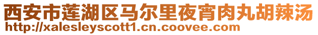 西安市蓮湖區(qū)馬爾里夜宵肉丸胡辣湯