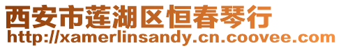 西安市蓮湖區恒春琴行