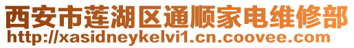 西安市蓮湖區通順家電維修部