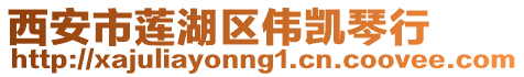 西安市蓮湖區(qū)偉凱琴行
