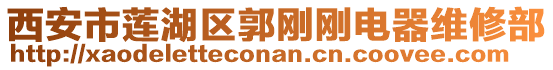 西安市蓮湖區郭剛剛電器維修部