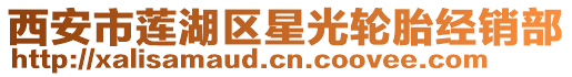 西安市蓮湖區(qū)星光輪胎經(jīng)銷部