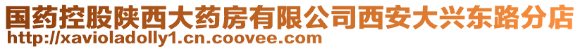 國藥控股陜西大藥房有限公司西安大興東路分店