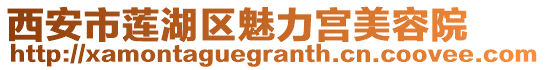 西安市蓮湖區(qū)魅力宮美容院