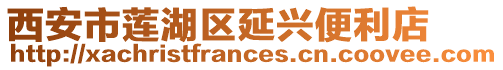 西安市蓮湖區延興便利店