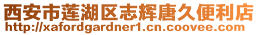 西安市蓮湖區志輝唐久便利店