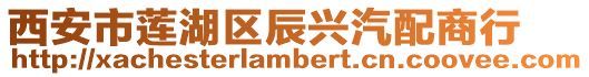 西安市蓮湖區(qū)辰興汽配商行
