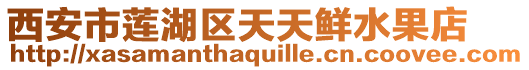 西安市蓮湖區天天鮮水果店