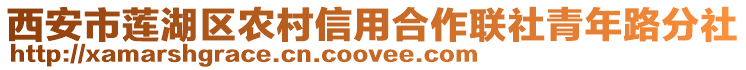 西安市蓮湖區(qū)農(nóng)村信用合作聯(lián)社青年路分社