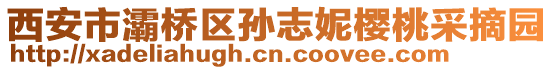 西安市灞橋區(qū)孫志妮櫻桃采摘園